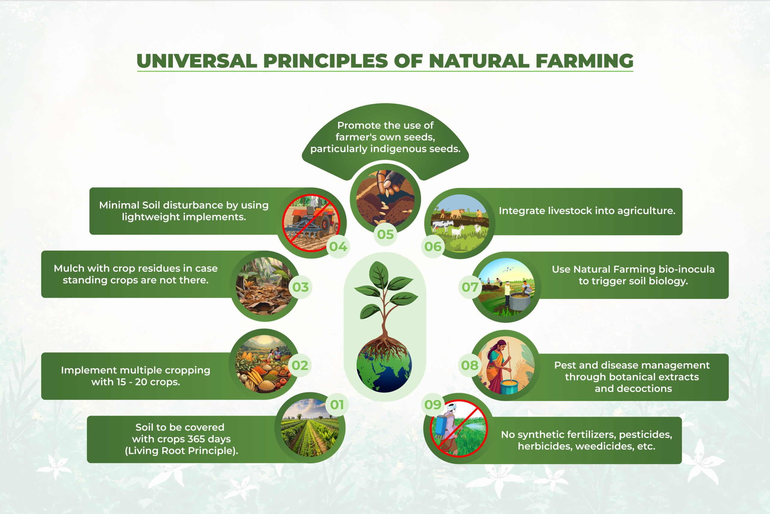 Apcnf Global Andhra Pradesh Community Managed Natural Farming