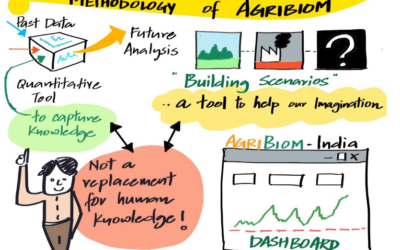 Agro-industry vs agroecology? Two Contrasting Scenarios for 2050 in Andhra Pradesh, India