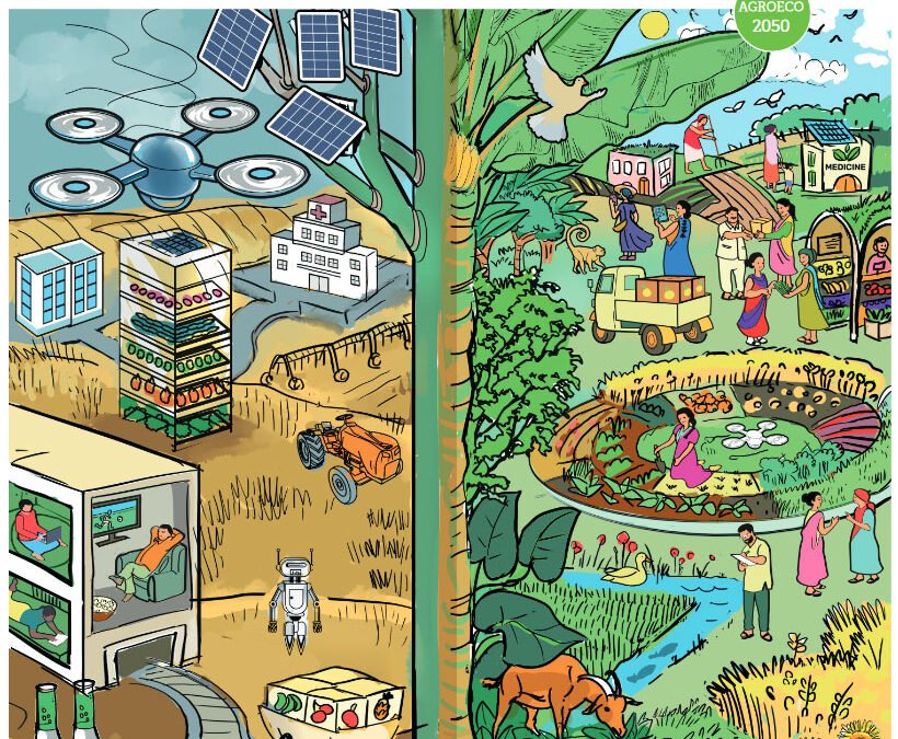 Re-thinking food systems in Andhra Pradesh