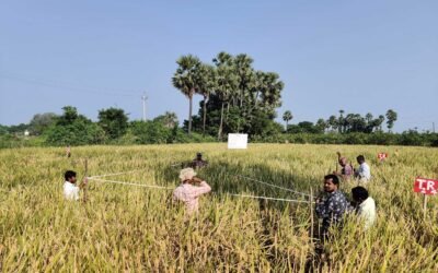 Assessing the Impact of APCNF – 2nd Interim [Kharif] Report 2022-23