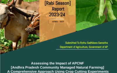 Assessing the Impact of APCNF – [Rabi] Report 2023-24